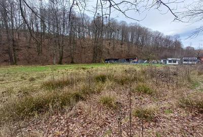 Resita, Teren Drept Intravilan, Langa Prau si Drum, Parcelabil, 4500 Mp., 15 Eur - 16