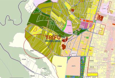 Teren Construcții intravilan de 4166 mp, în Cetate