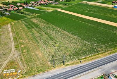 8.400mp, la DN12, cu Certificat Urbanism, teren intravilan, Chichis, Covasna. - 6
