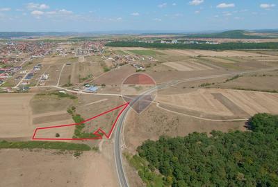 Terenuri 16.144 mp, Inel Metropolitan, vânzare integral sau separat - 12