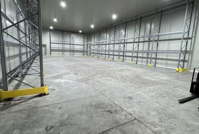 Anunt de inchiriere – spatii comerciale si industriale (depozite/ hale) Ploiesti - 3