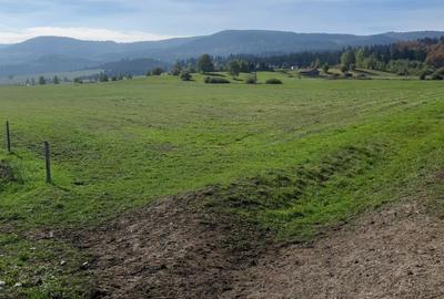Vand teren parcelat , toate parcelele la drum, situat la Subpadure - 2