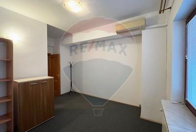 Apartament / Birou, 4 camere, Floreasca - Dorobanti, 163 mp + curte - 10