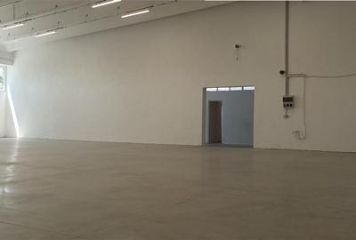 Hala industriala productie sau depozit cu rampa - Freidorf - 3