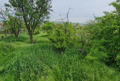 Teren Construcții intravilan de 4900 mp, în Florești