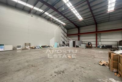 Hala 600 mp constructie noua, de inchiriat,  Sacalaz - 1