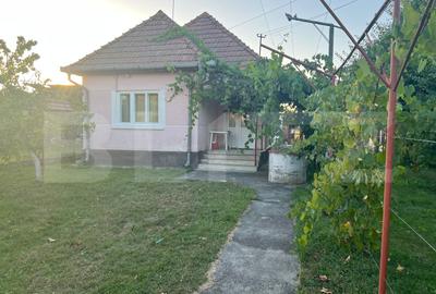 Casă individuală cu 2 camere în Cristești