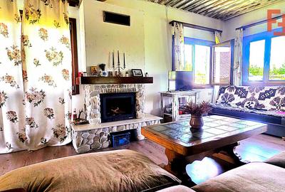 Cabana cu 7 camere de vanzare in Albac - V10073 - 42