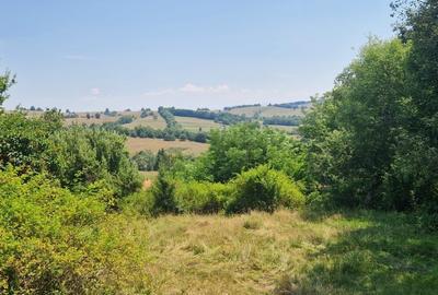Teren intravilan 4.568 mp, 2 fronturi – Brebu Nou, Caraș-Severin - 1