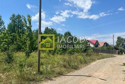 Teren Intravilan 5165 mp Str. Aeroportului Bacau - 5