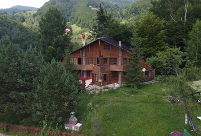 Casa de vacanta in Lepsa - 1