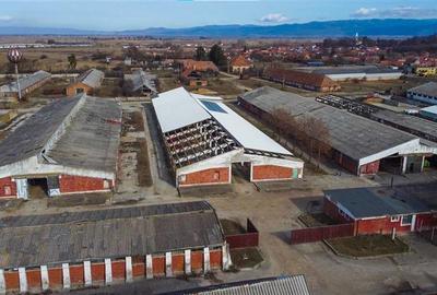 Ansamblu agrozootehnic cu renume,dotat +valoare exceptionala+potential versatil, - 30