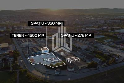 Hală Industrială | 5.000 MP | Sfântu Gheorghe - 11