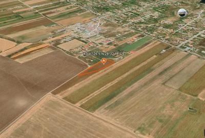 Teren Investiție 4750 mp Limanu - Parcelabil, lângă Mangalia - 9