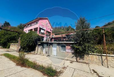 Casă P+E+M cu spălătorie auto și restaurant la DN 7 în LIPOVA - 1