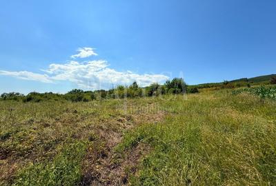 Teren Construcții intravilan de 1400 mp, în Chinteni