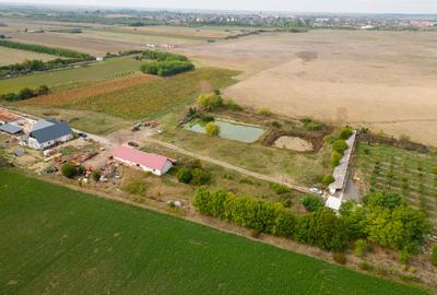 Casă cu teren 13 418 mp intravilan - 11