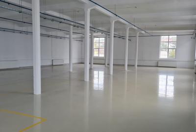 Spații de închiriat – Depozitare | Producție | Birouri Cisnadie - 2