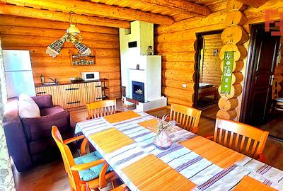 Cabana cu 7 camere de vanzare in Albac - V10073 - 35