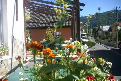 Vila de vanzare in Busteni Prahova zona Centrala - Valea Alba - 11