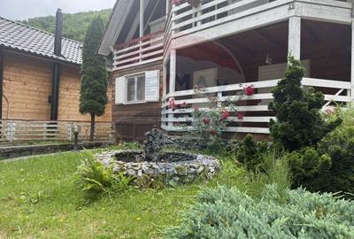 Cabana autentica de munte Frasinet - Baisoara 600 mp teren - 29