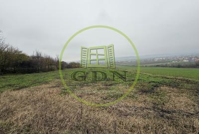 Teren intravilan 1000 mp + teren extravilan 1200 mp, comuna Simnicu de Sus - 1