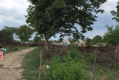 REL4000117 Teren Ciolpani - Piscu - loturi intre 968 mp si 974 mp - 1