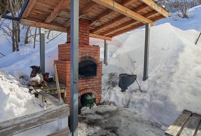 Cabană/Pensiune exclusivistă în Rânca - 38