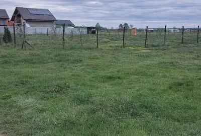 Teren Intravilan 1000 mp Harman - 1