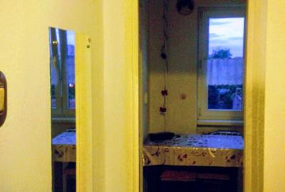 Vand apartament 2 camere, zona Podgoria – Piața  Mică – vedere la Parc Pădurice - 4