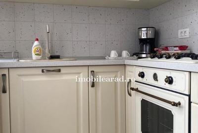 Apartament 60 Euro pe zi, amenajat in stil unic langa Primaria Arad - 13