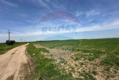 Teren 138.104 mp Dragomiresti-Vale, Ilfov, langa A0 - 10