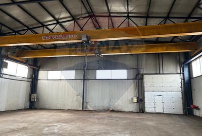 Spațiu industrial în Deva - Platformă betonată, 2 hale , linie CFR - 3
