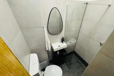 Prima inchiriere! Baza 3/Carrefour - Mini-studio, amenajat complet nou - 17