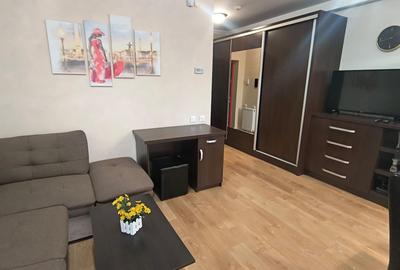 Apartament ARED cu 1 camera, St. O. Iosif, Oradea, 300 euro/luna - 4