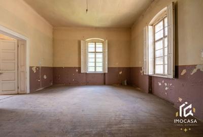 Vila Conac boieresc contelui Fabia 1920 de vânzare Păuliș Arad 2,4 ha - 11