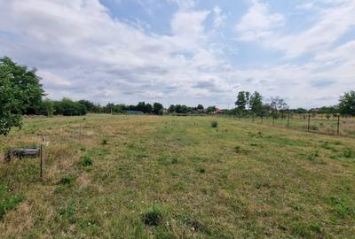 🏡 De vânzare – Casă boierească, Sat Giulvăz (jud. Timiș)- 717 - 19