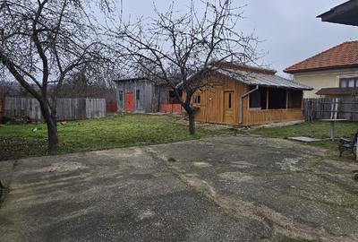 Casa si teren de vanzare Poienari - Bumbesti Pitic - 12