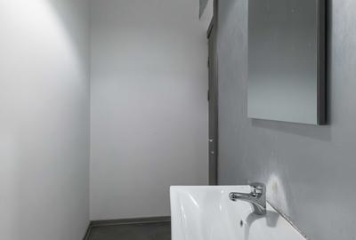 Spatiu comercial - zona Brotacei - 10