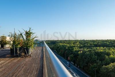 REA1028005 Apartament spectaculos cu terasa 186 mp l Pipera - 19