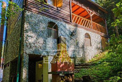 Pensiune, casa de vacanta, 6 camere, statiunea Rausor din Hunedoara - 8