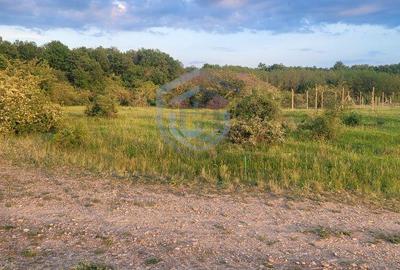 Teren intravilan in Gepiu - 1