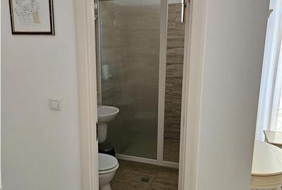 Hotel de inchiriat in Sibiu Zona Premium Calea Dumbravii - 10