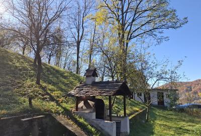 Vila Bughea de Jos - Campulung - 21