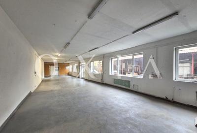 AX1157 Spatiu Industrial, B-dul 16 Decembrie, Activitati Productie - 2