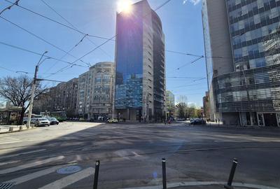 Garsoniera Moderna Victoriei - Titulescu - 15
