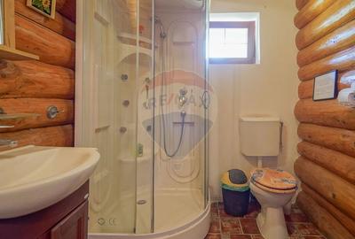 CASA INCONJURATA DE NATURA | DIN BUSTENI | 8 CAMERE | TIMISUL DE JOS - 27