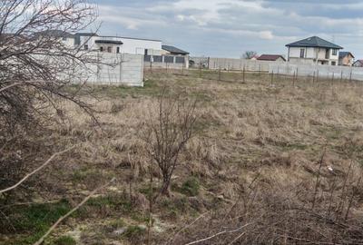 Comuna Berceni-Ciresilor-teren dezvoltare imobiliara - 12