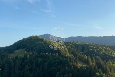 Teren Intravilan 1000mp-panorama-oportunitate investitie-Colibita - 4