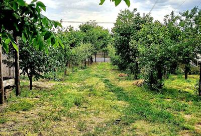 Seimenii Mari Casa 5 camere S.teren:4260 +vie+pomi fructiferi  vedere la Dunare - 15